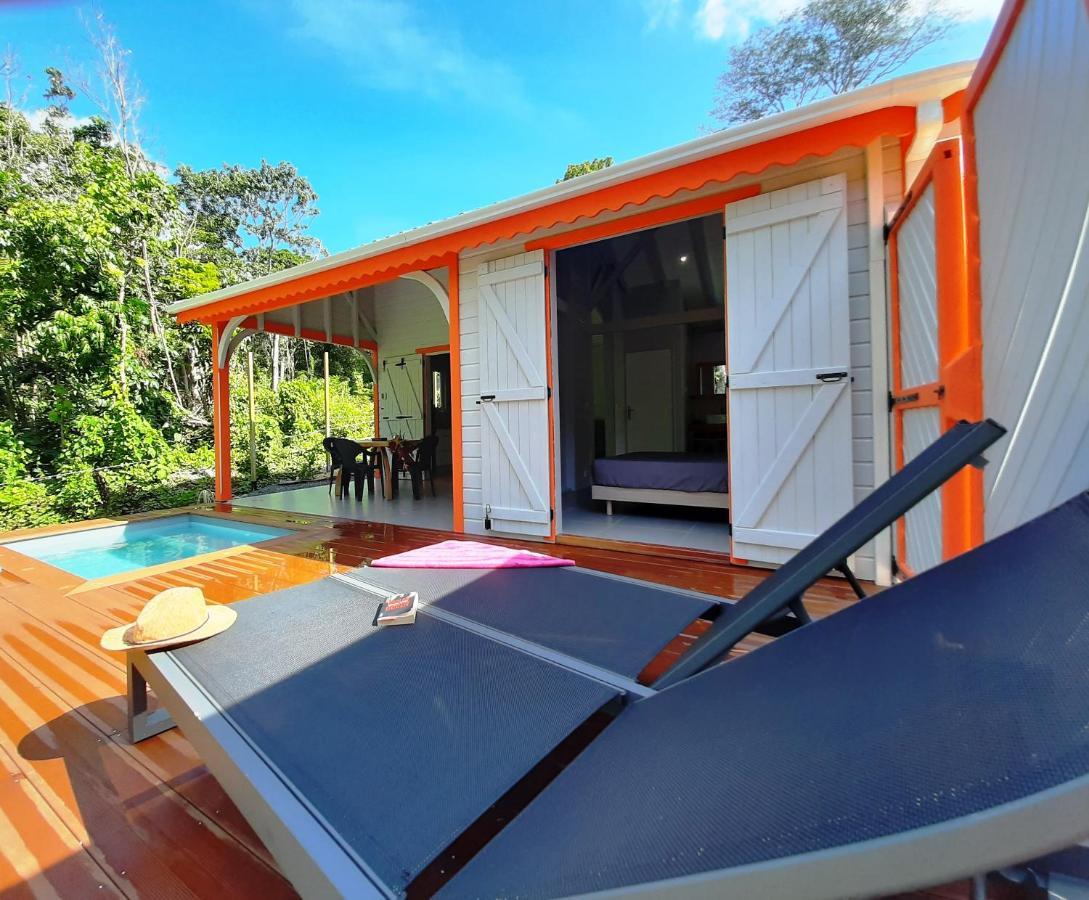 Caraibes Cottages Corail Piscine Privee A 900M De La Plage De Grande Anse Deshaies Exterior photo