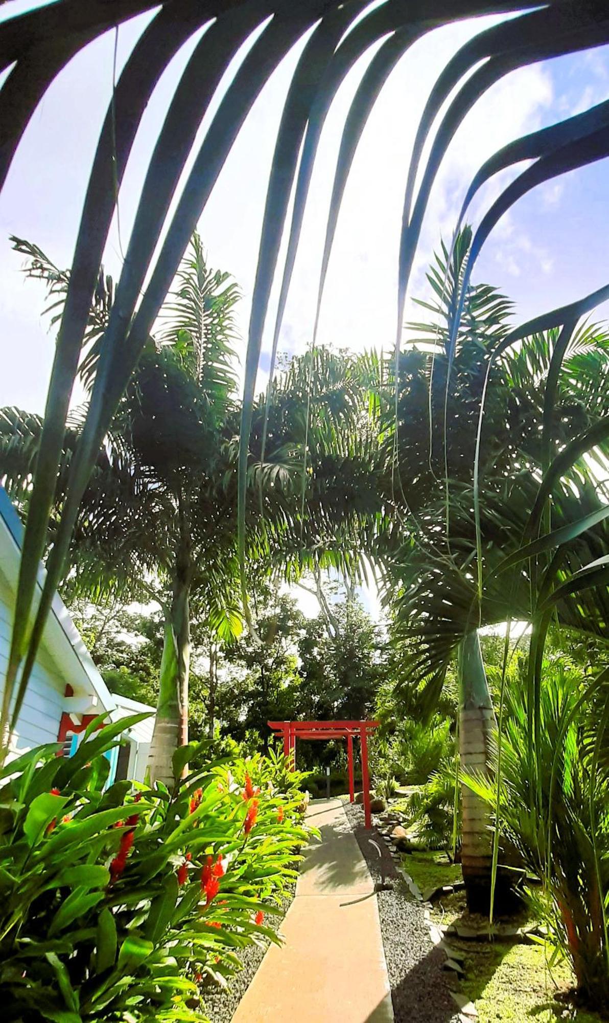 Caraibes Cottages Corail Piscine Privee A 900M De La Plage De Grande Anse Deshaies Exterior photo