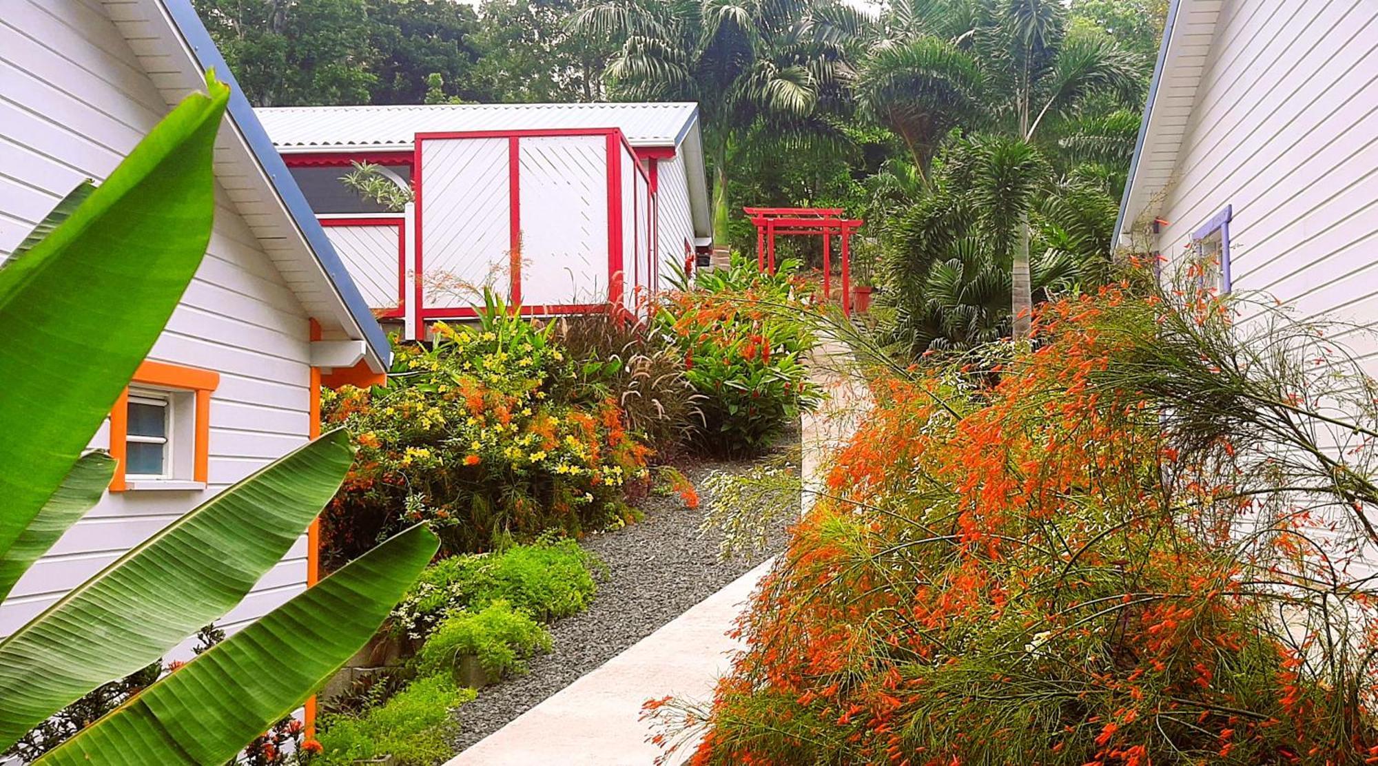 Caraibes Cottages Corail Piscine Privee A 900M De La Plage De Grande Anse Deshaies Exterior photo